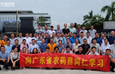 7 production lines only make 6 products! This Guangdong company