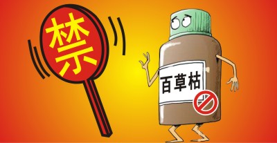 百草枯將被禁用！？滅生性除草劑市場進入洗牌期，誰能搶占先機？                   來源于  農資與市場  王奕