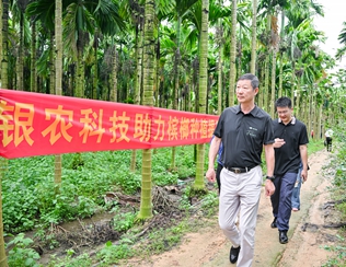 不斷創新納米農藥，“銀農三寶”助力檳榔提質增收
